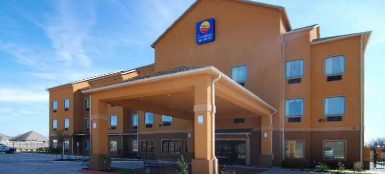 纳瓦索塔舒适套房酒店(Comfort Inn & Suites Navasota)图片