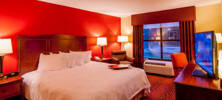 北坦帕希尔顿欢朋旅馆&套房酒店(Hampton Inn & Suites Tampa-North)图片