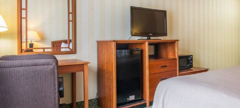 品质酒店机场店(Quality Inn Airport)图片