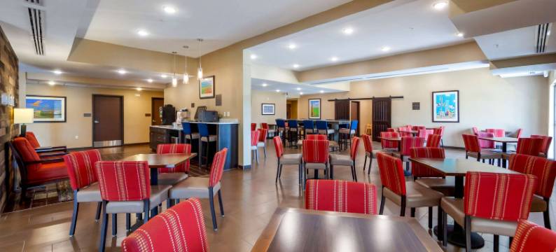 舒适套房酒店-拉威斯达奥马哈(Comfort Suites)图片