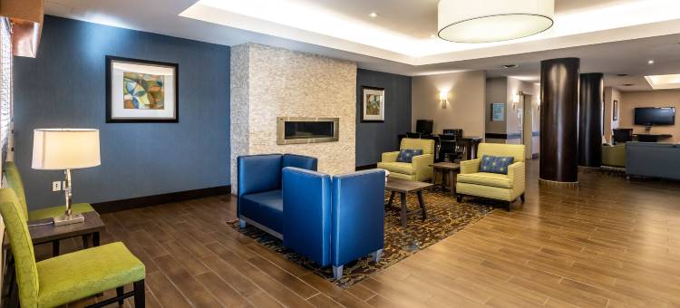 智选假日套房酒店埃德蒙顿国际机场(Holiday Inn Express & Suites EDMONTON-INTERNATIONAL AIRPORT by IHG)图片
