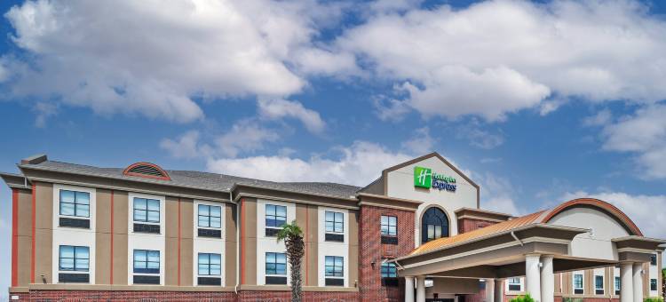 智选假日套房酒店维多南(Holiday Inn Express & Suites Vidor South)图片