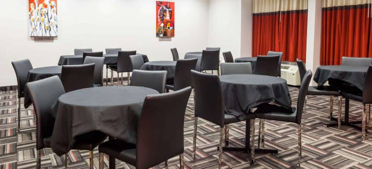 卡斯尔曼麦客达套房酒店(Microtel by Wyndham Casselman)图片