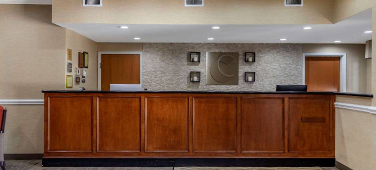 舒适套房酒店(Comfort Inn & Suites)图片