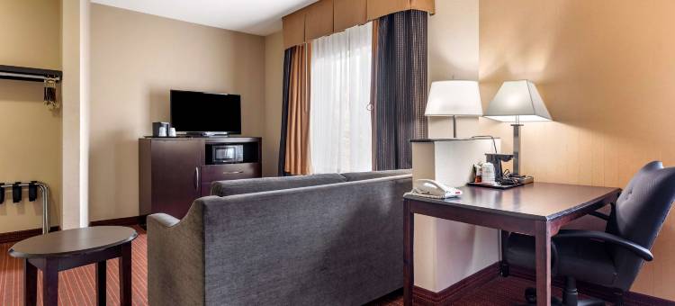 DFW机场西尤里斯贝斯特韦斯特优质酒店(Best Western Plus DFW Airport West Euless)图片