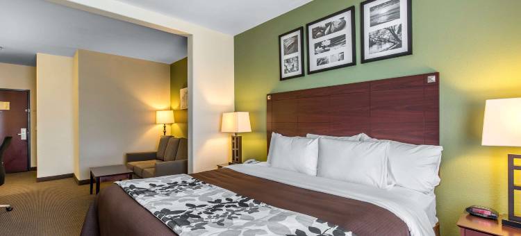 洲际机场东舒眠套房酒店(Sleep Inn & Suites Bush InterContinental - IAH East)图片