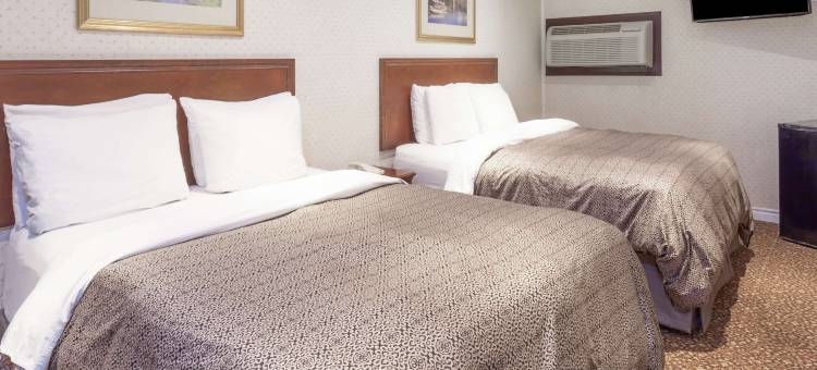 金斯顿骑士酒店(Knights Inn Kingston)图片