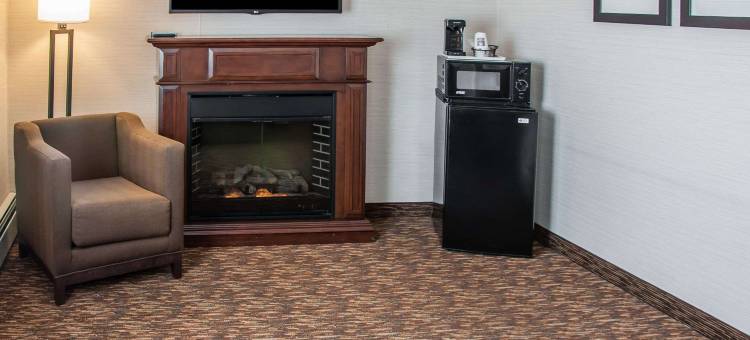 舒适酒店(Comfort Inn)图片