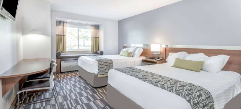 Microtel Inn & Suites by Wyndham Victor/Rochester图片