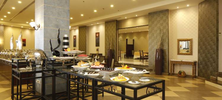 郁锦香欢呼酒店(Golden Tulip Hail)图片