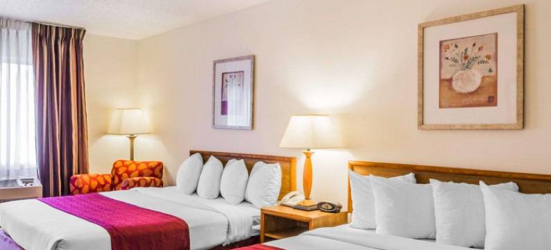 丹佛西戈尔登凯艺酒店(Quality Inn & Suites Golden - Denver West)图片