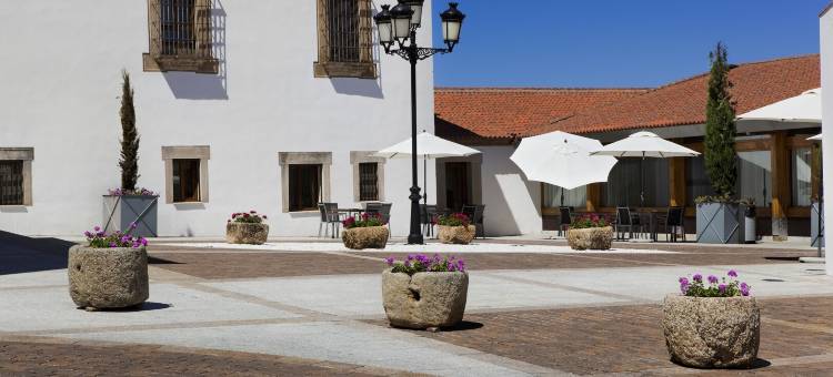 阿雷纳莱斯宫殿霍斯皮斯水疗旅馆(Hospes Palacio de Arenales & Spa)图片