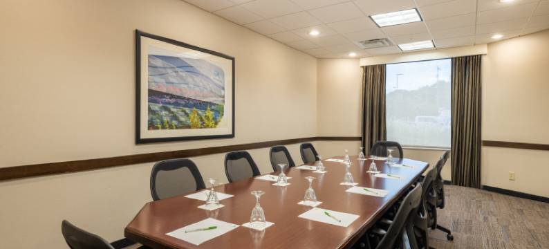 格林斯伯勒体育馆假日酒店(Holiday Inn GREENSBORO COLISEUM by IHG)图片