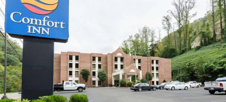 格伦迪舒适酒店及套房(Comfort Inn & Suites)图片