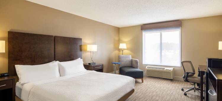 Holiday Inn Express 燃气市(Holiday Inn Express Gas City)图片