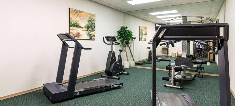 斯科哈里凯艺套房酒店-近侯氏洞(Quality Inn & Suites Schoharie Near Howe Caverns)图片