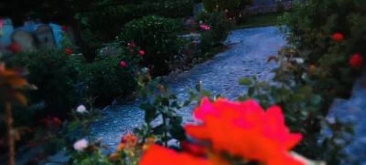 凯特利奥斯梦幻海滩公寓(Dreams Apartments - Katelios,Santa Barbara Beach)图片