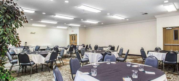 丹佛机场凯艺套房酒店-盖特威公园(Quality Inn and Suites Denver Airport - Gateway Park)图片