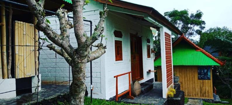 金塔玛尼黑色熔岩青年旅馆(Black Lava Hostel and Lodge)图片