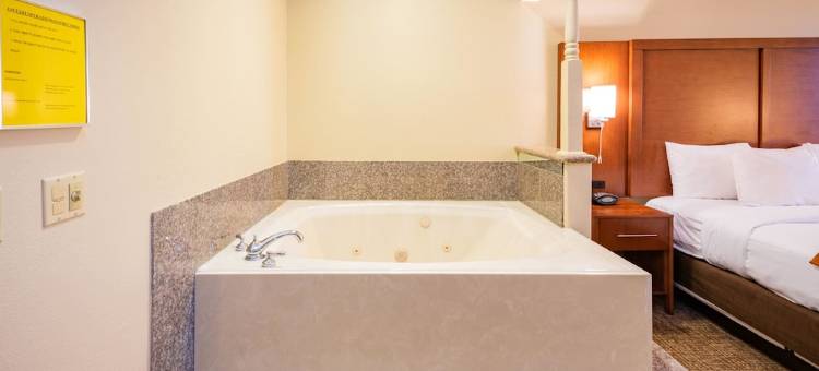 舒适套房酒店-近德克萨斯医学中心NRG体育场(Comfort Suites Near Texas Medical Center - NRG Stadium)图片