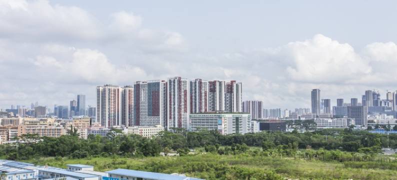 雅园精品深圳万科云城店民宿(留新一路分店)图片