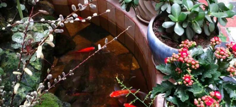 崇州四海宾馆图片