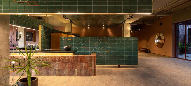 圣米格尔德阿连德阿尔博尔酒店，希尔顿启缤精选(Albor San Miguel de Allende, Tapestry Collection by Hilton)图片