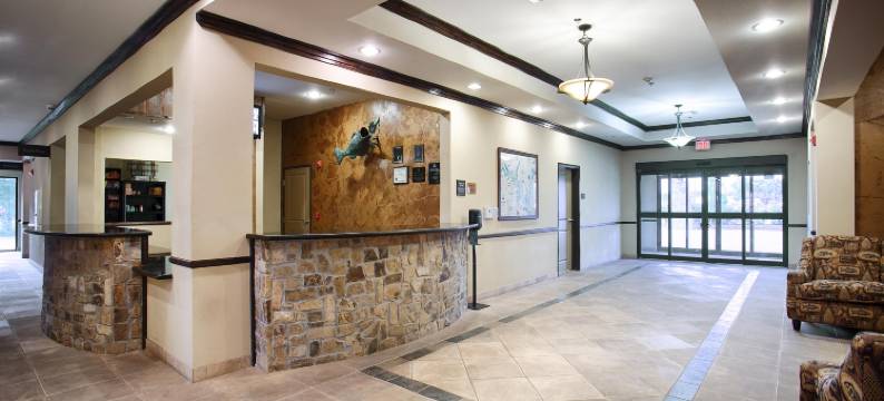 艾莫里福克湖贝斯特韦斯特优质套房酒店(Best Western Plus Emory at Lake Fork Inn  Suites)图片