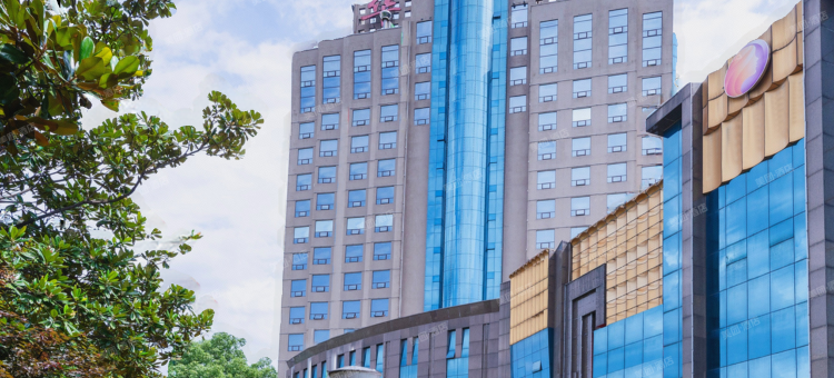 湖南华宇国际大酒店图片