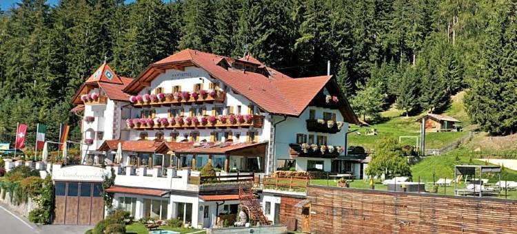 大全景健康酒店Sambergerhof(Granpanorama Wellnesshotel Sambergerhof Superior)图片