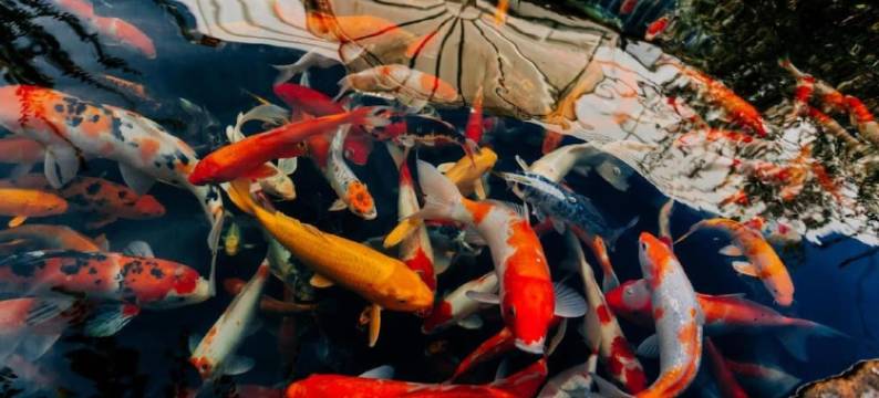 温多民宿(Window Homestay)图片