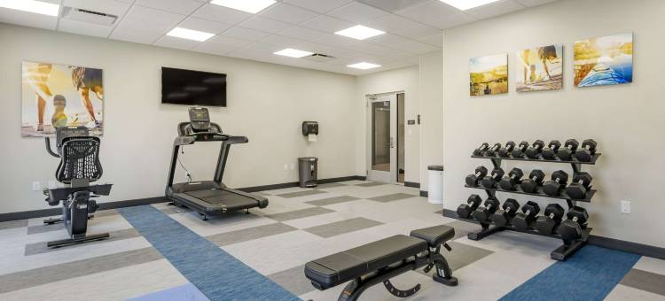 新港锐西市区的英特集团舒适酒店(Comfort Inn & Suites New Port Richey Downtown District)图片