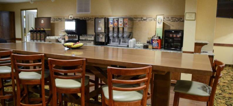 邓迪丽怡酒店(Country Inn & Suites by Radisson, Dundee, MI)图片