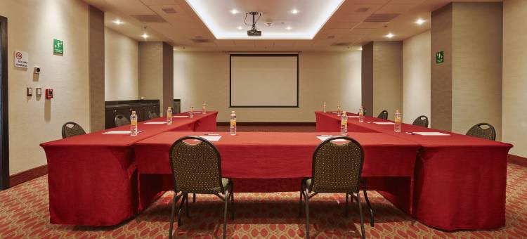 奇瓦瓦尤文智选假日酒店(Holiday Inn Express & Suites Chihuahua Juventud)图片