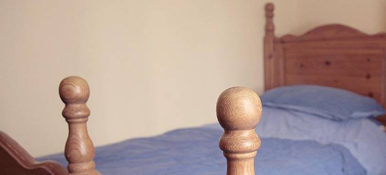 淘气迪基旅馆(The Kicking Dickey)图片