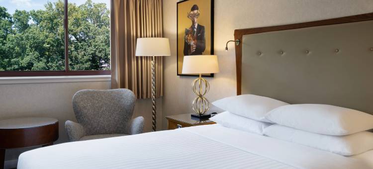 斯文顿万豪德尔塔酒店(Delta Hotels Swindon)图片