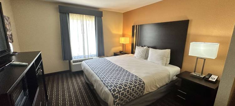 贝思贝斯特韦斯特优质套房酒店(Best Western Plus Bass Hotel  Suites)图片