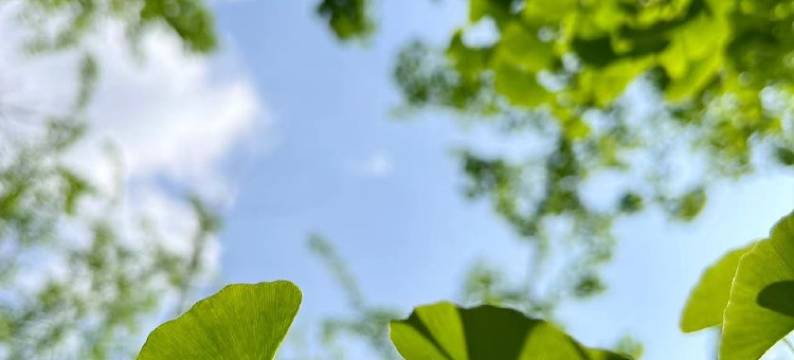 伍文波公寓(福畅路分店)图片