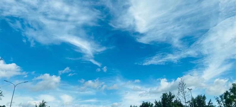 平遥花园客栈图片