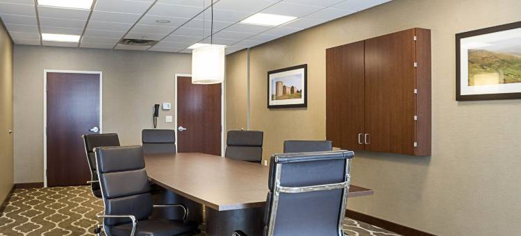 医疗中心舒适套房酒店(Comfort Suites Medical Center)图片