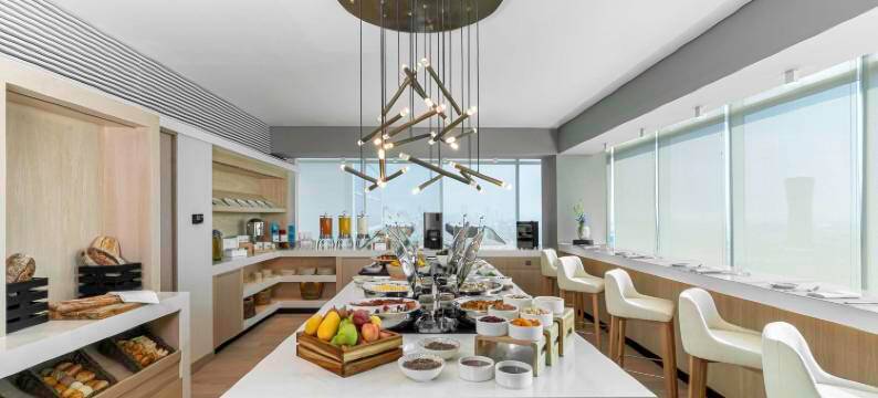 墨西哥城 Insurgentes 凯悦酒店(Hyatt Regency Mexico City Insurgentes)图片