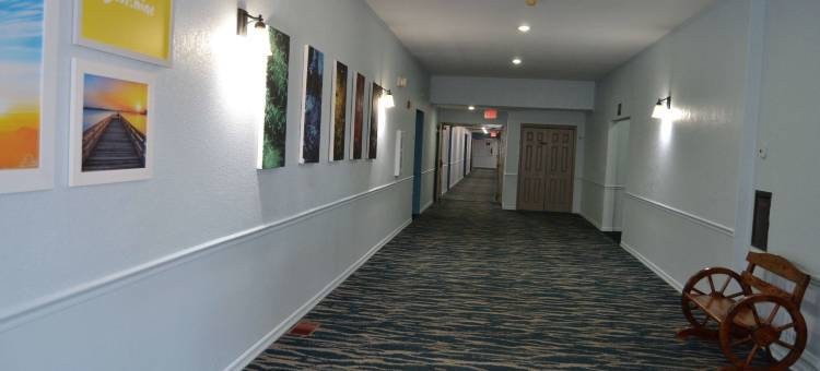 赛克斯顿温德姆戴斯套房酒店(Days Inn & Suites by Wyndham Sikeston)图片