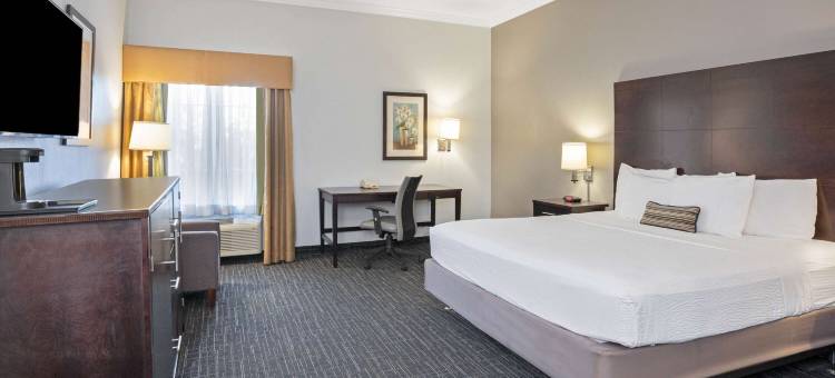 休斯敦嘉纳-维斯特切斯酒店(Garner Hotel Houston - Westchase)图片