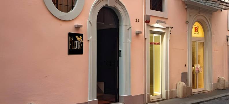 艾斯费里奥思豪华酒店(Les Fleurs Luxury House)图片