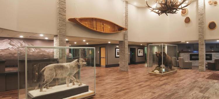 费尔班克斯机场拉昆塔温德姆套房酒店(La Quinta Inn & Suites by Wyndham Fairbanks Airport)图片