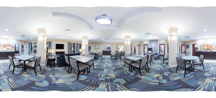 巴吞鲁日艾伦港智选假日酒店及套房(Holiday Inn Express & Suites Baton Rouge -Port Allen)图片