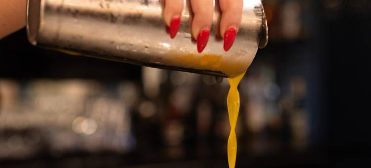 黎塞留河畔圣让酒店(Holiday Inn ST-Jean-Sur-Richelieu CONGRÈS)图片