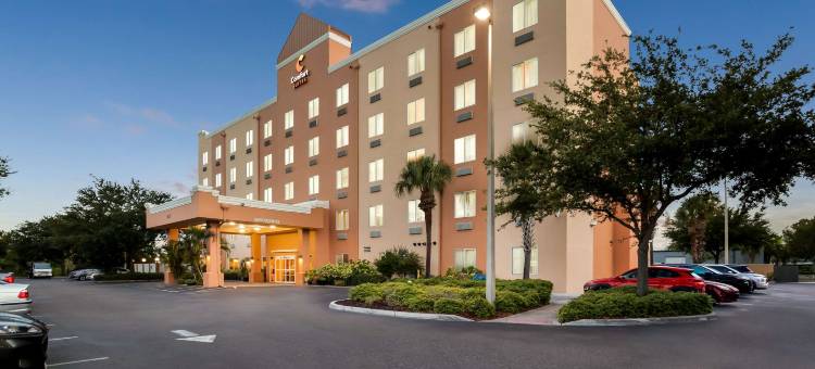 舒适套房酒店-坦帕机场北(Comfort Suites Tampa Airport North)图片