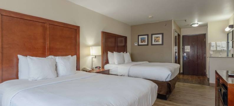 阿拉莫萨舒适套房酒店(Comfort Inn & Suites Alamosa)图片