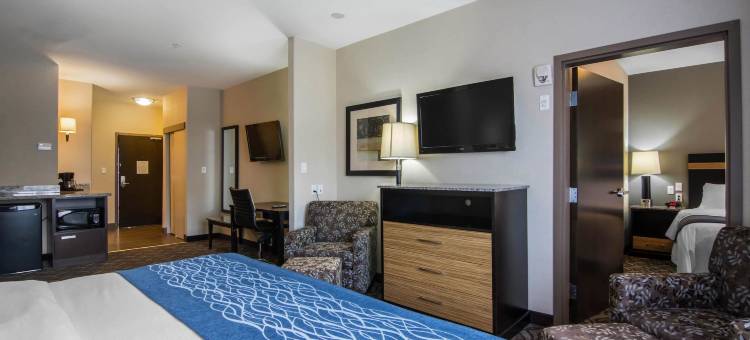 舒适套房酒店(Comfort Inn & Suites)图片